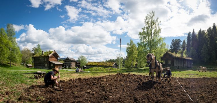 Farming the old way at West-Telemark museum, Skodde studio