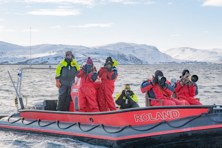 Birders are often seen at shore taking photos. You can also join a guide company and go out the fjord photographing flying birds, Båtsfjord. Photo: Fotoknoff.