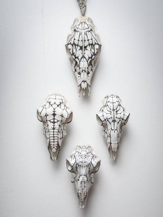 Head sculls from animals decorated and turned into pieces of art.